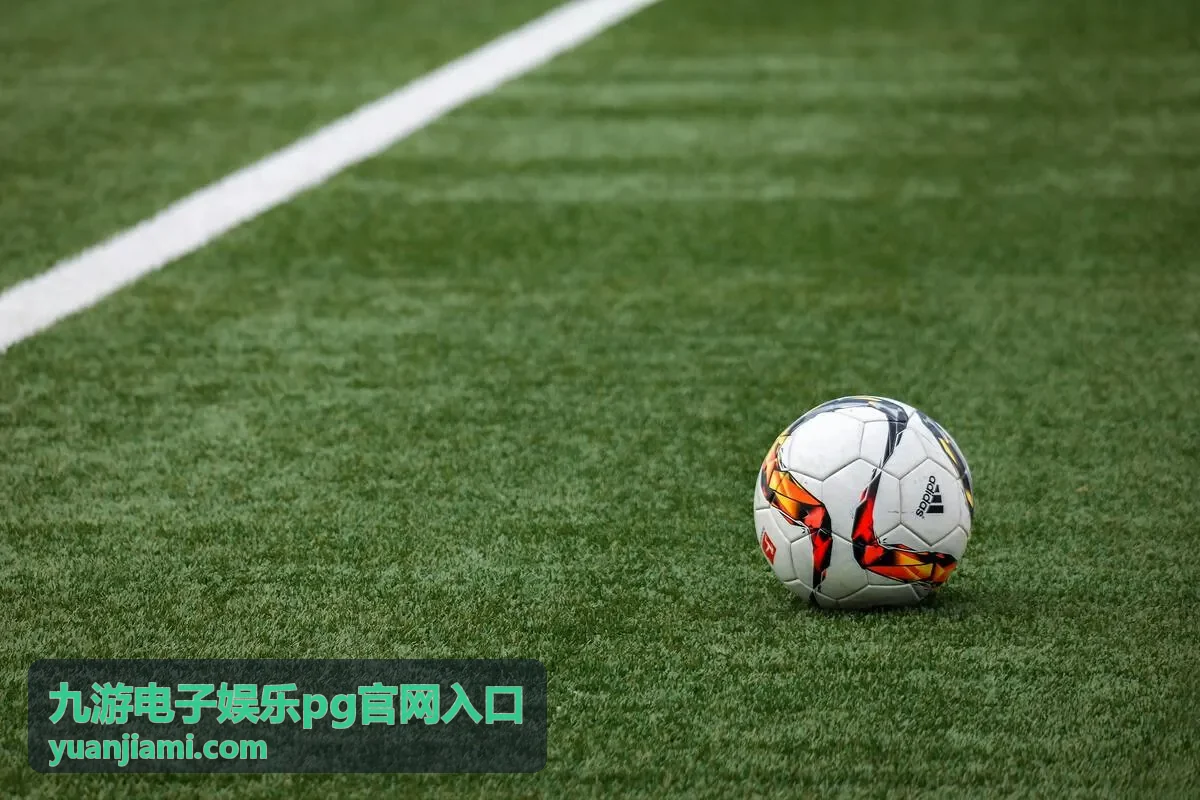 九游电子娱乐pg官网入口 参与指引横幅