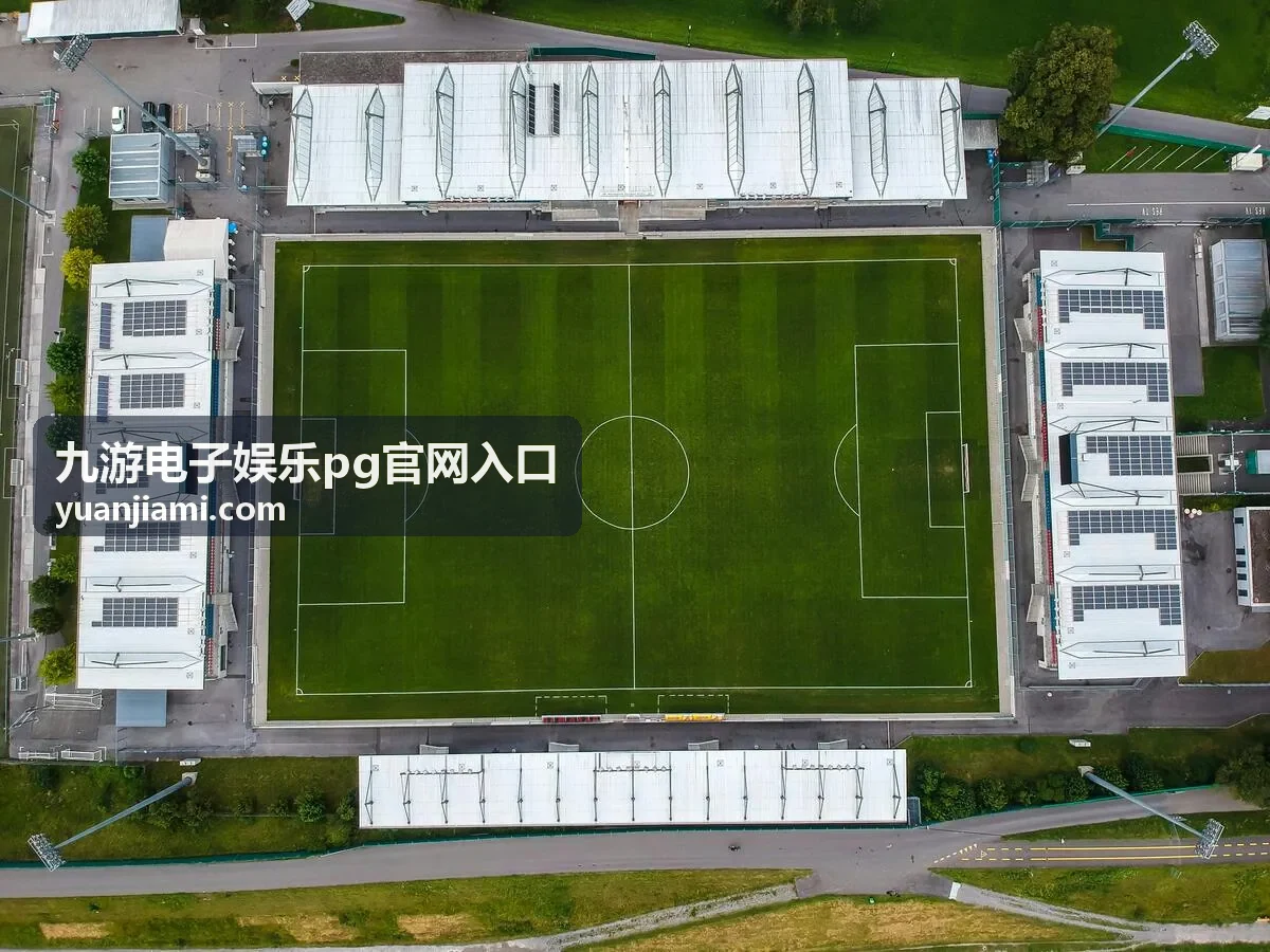 九游电子娱乐pg官网入口 规则查阅与结果确认环节